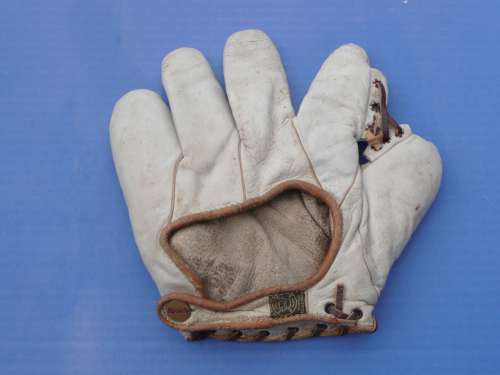 A.J. Reach Professional Grommet Web Back